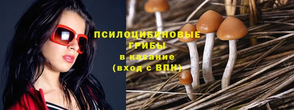 таблы Армянск