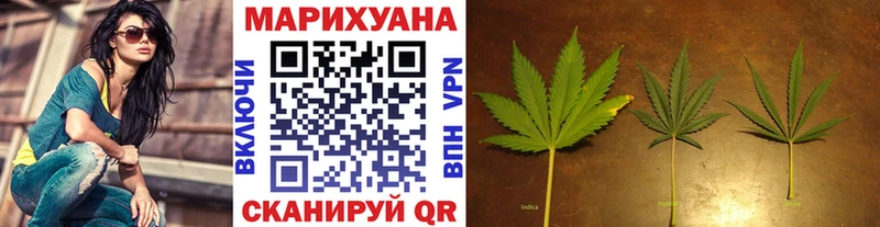 дарнет шоп  Сковородино  Шишки марихуана THC 21% 